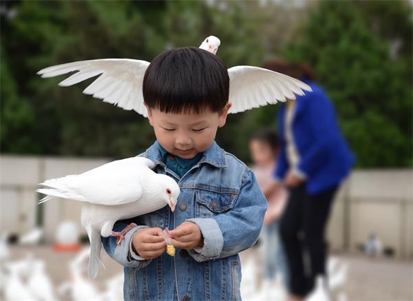 人生若只如初见